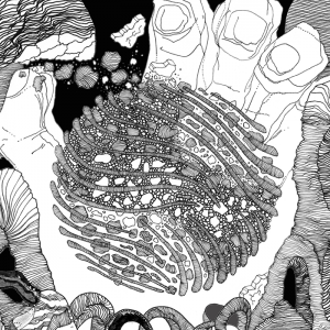 visuel de la K7 MALM - duo Anton Mobin | Lionel Martin